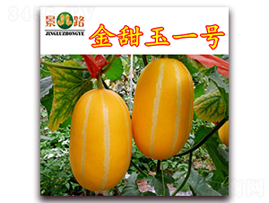 һ̖(ho)-ƤϷN-·NI(y)