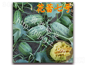 ̖(ho)-ƤϷN-·NI(y)