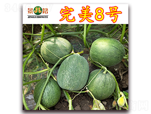 ·8̖(ho)-ƤϷN-·NI(y)