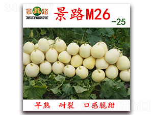 M26-25-ƤϷN-·NI(y)