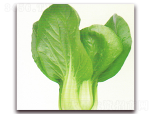 22̖(ho)-๣˷N-NI(y)