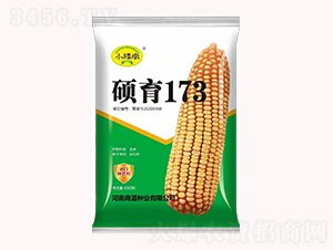 T1734500-׷N-̵NI(y)