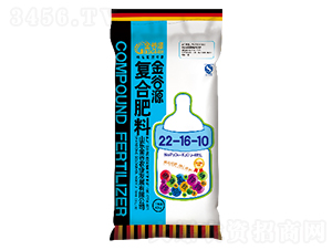 Ȼ͏ͺϷ22-16-10-Դ-rI(y)