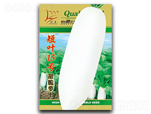 ~13̖(ho)-}N-}ʷNI(y)