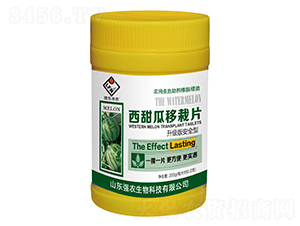 Ƭ-(l)Sr(nng)-(qing)r(nng)