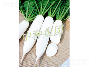 L(zhng)1̖(ho)-}N-зNF(tun)