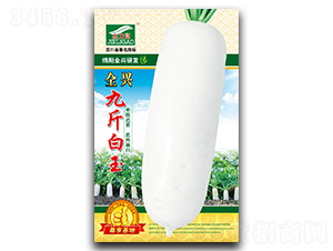 Ž-L(zhng)}N-ȫdNI(y)