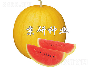 SƤ1̖(ho)-ϷN-зNI(y)