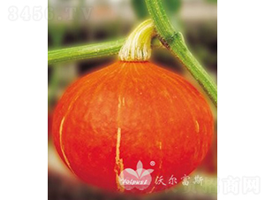 S̖F1M(jn)ڸ߮a(chn)tƤAϹϣ-ϹϷN-֠˹