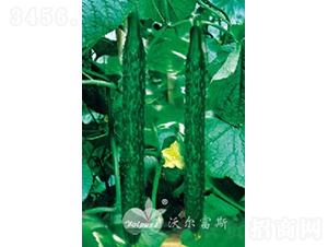 (yu)̖(ho)F1Խ紺߮a(chn)ͺSϣ-SϷN-֠˹