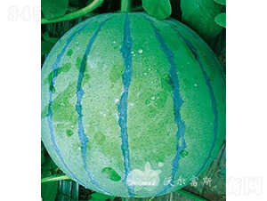 f(wn)F1߮a(chn)ƤƷN-ϷN-֠˹