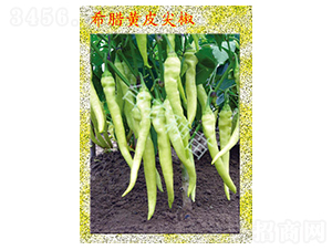 ϣDSƤ⽷-N-_r(nng)N