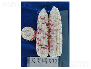 FŴ932-׷N-𸣈@rI(y)