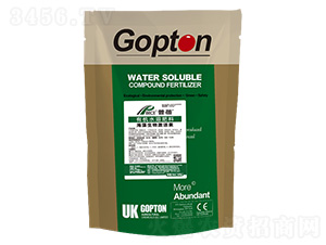 M(jn)ڹDطNϺ弤̼-ɪ