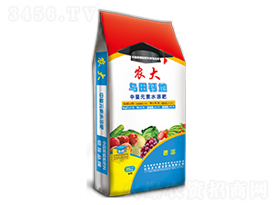 {(dio)턩ϵ-}-r(nng)]ʘI(y)