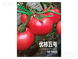 (yu)̖-r(chung)