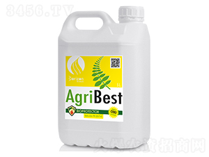 E̖(ho)-οԷ۽-m