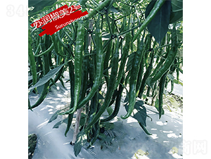 K(rn)2̖(ho)-N-K(rn)NI(y)