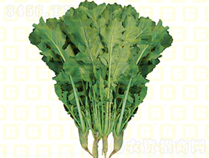 ~}-¸R460-}N-¸߷NI(y)