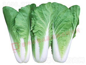 ~ɫSG-9̖-˷N-¸߷NI(y)