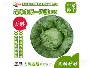 f(wn)118-˷N-Sr(nng)I(y)