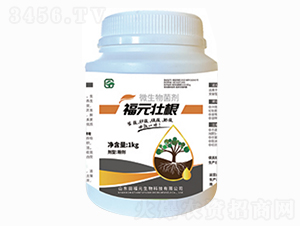 ԪѸ΢-ѸٸʸЧһw-︣Ԫ