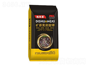 VԴS-pϲ-(lin)rI(y)