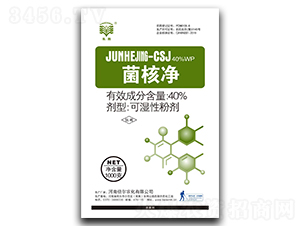 40%˃ɝԷۄ-L(zhng)-r(nng)