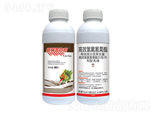 25/ЧȷͣEC-wػ-лƌW(xu)