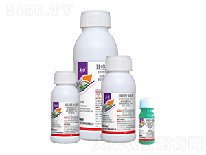 36%x(chng)߻x(chng)Ҹ-Ӣ-