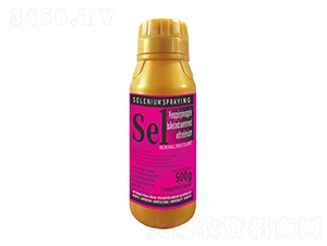 500g}P1̖(ho)-r(nng)