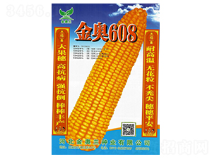 W608-׷N-SNI(y)