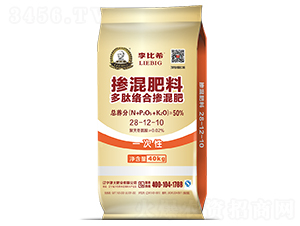 Ľj(lu)ϓ28-12-10-ϣ-ʢԴ