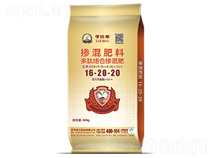 Ľj(lu)ϓ16-20-20-ϣ-ʢԴ