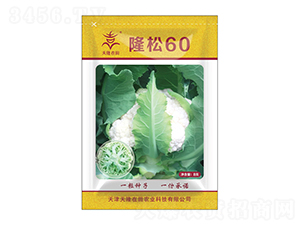 ¡60-¡-¡r(nng)I(y)