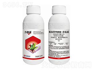 20%x(chng)x(chng)Ҹ-Z-