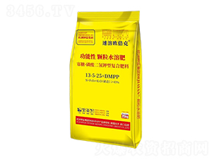 ǡ͏ͺϷ13-5-25+DMPP-ܚW-}H