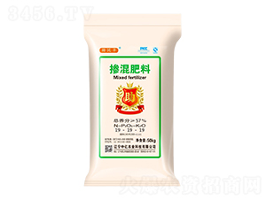 19-19-19-S-Ѓ|r(nng)I(y)