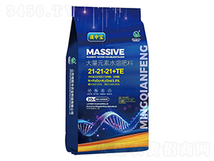 Ԫˮܷ21-21-21+TE-Ќ-ǰS