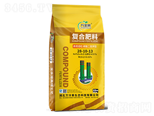 ͏ͺϷ28-10-13-fSR-Dؐ