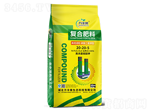 ͏ͺϷ20-20-5-fSR-Dؐ