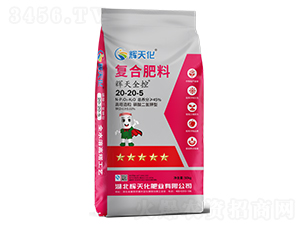 xȫ؏ͺϷ20-20-5-x컯-Dؐ