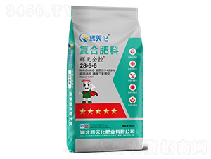 xȫ؏ͺϷ28-6-6-x컯-Dؐ