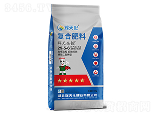 xȫ؏ͺϷ29-5-6-x컯-Dؐ