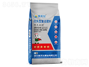 xȫؿʧ͏ͺϷ29-5-6-x컯-Dؐ