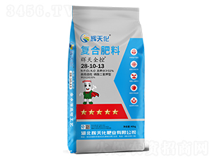 xȫ؏ͺϷ28-10-13-x컯-Dؐ