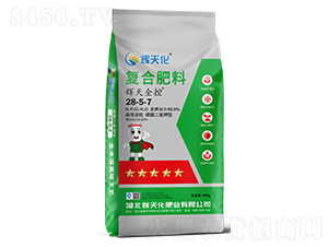 xȫ؏ͺϷ28-5-7-x컯-Dؐ