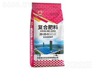 ͏ͺϷ20-20-5-DؐʘI(y)