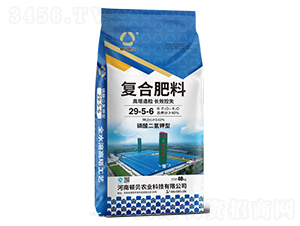 LЧʧͺϷ29-5-6-DؐʘI(y)