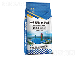 ͏ͺϷ29-5-6-DؐʘI(y)